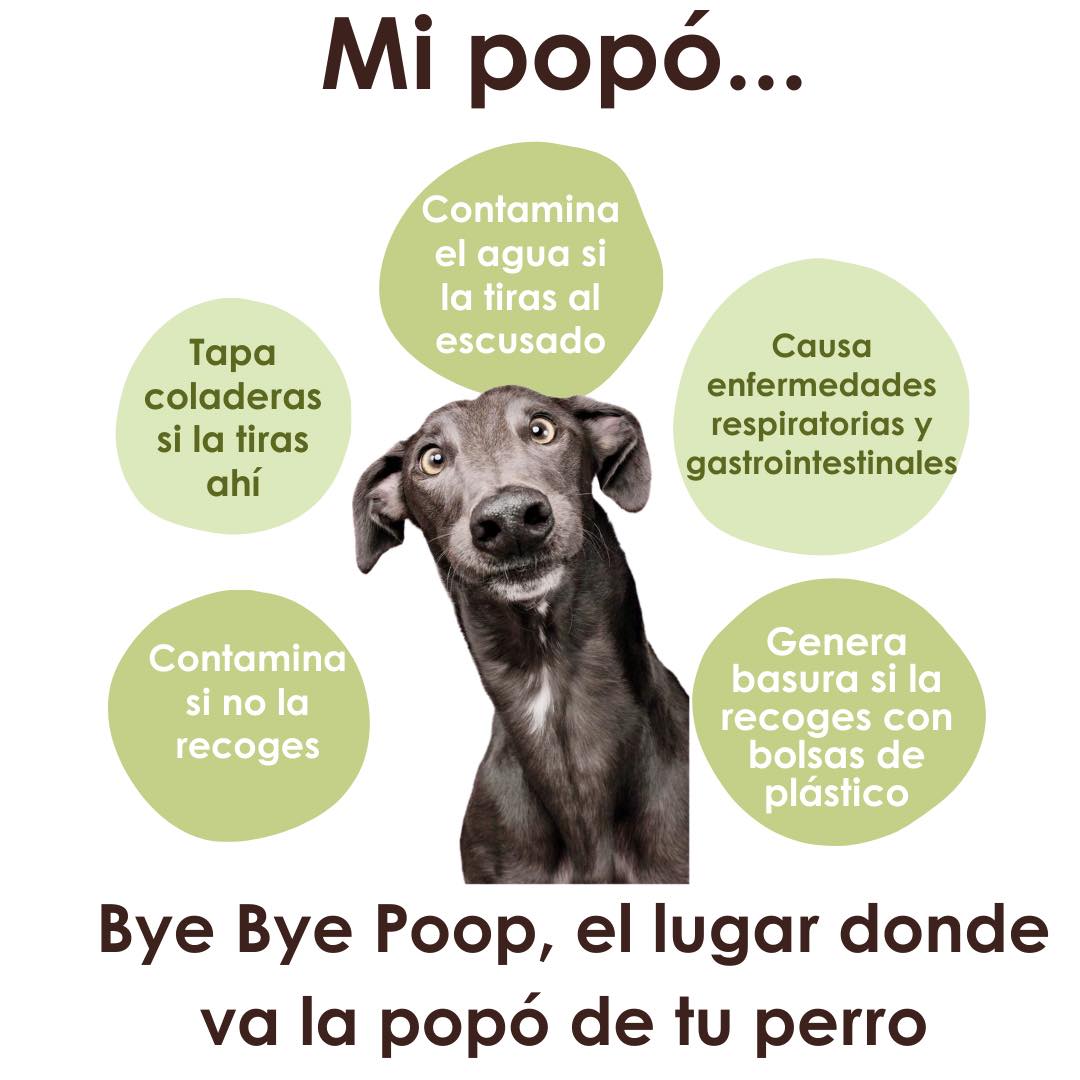 BYE BYE Poop - Las heces de los perros enferma, y con el... | Facebook