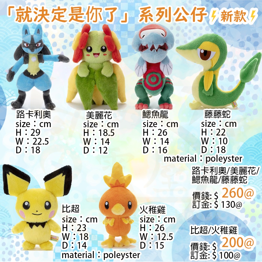 ⚡️預訂⚡️日本pokemon center限定「就決定是你了」系列公仔... - 電電屋 Den Den House | Facebook