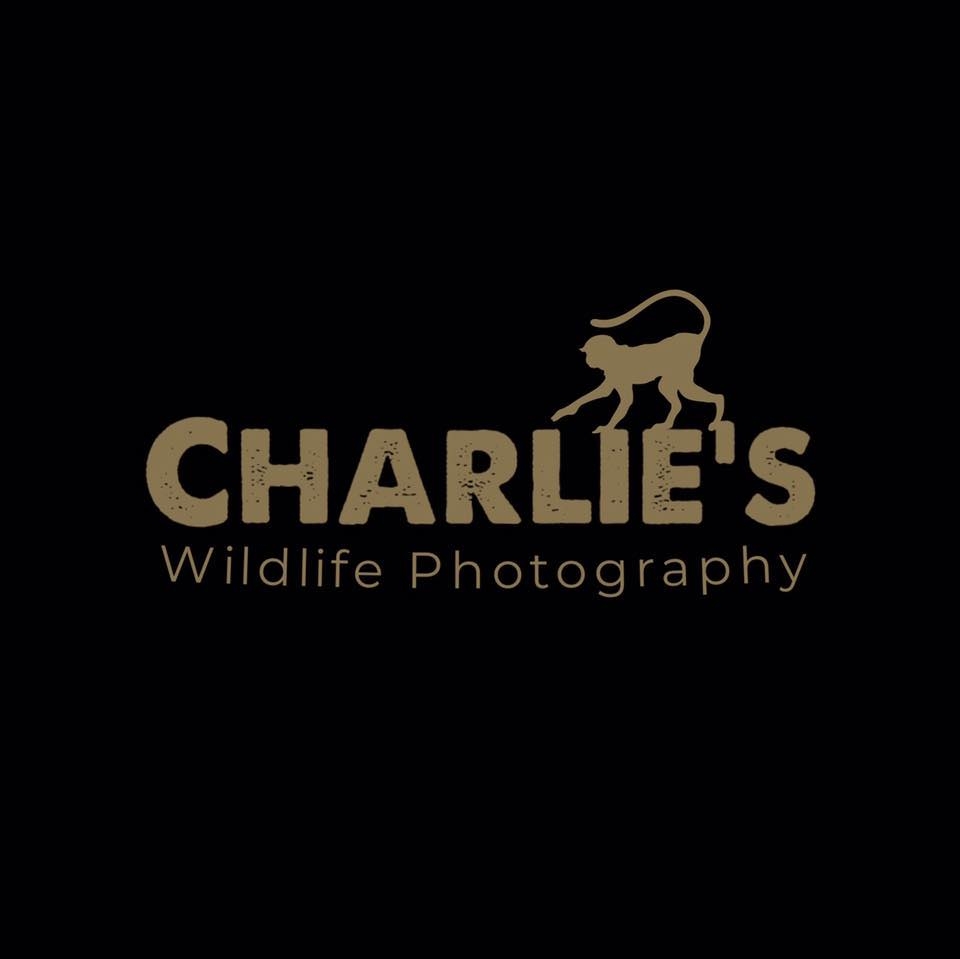 Shutter speed determines how long your camera’s shutter stays open for ...