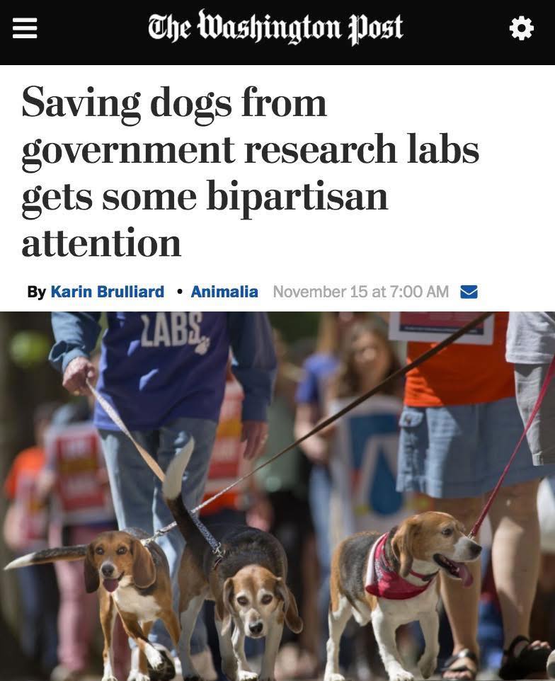 GOOD - White Coat Waste 𝐍𝐢𝐧𝐞 𝐲𝐞𝐚𝐫𝐬 𝐚𝐠𝐨 𝐭𝐨𝐝𝐚𝐲, 𝐖𝐡𝐢𝐭𝐞 𝐂𝐨𝐚𝐭 𝐖𝐚𝐬𝐭𝐞 𝐥𝐚𝐮𝐧𝐜𝐡𝐞𝐝 ...