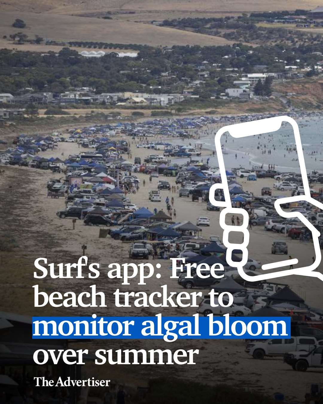 The Advertiser - Beachgoers will be able to check daily algal bloom ...
