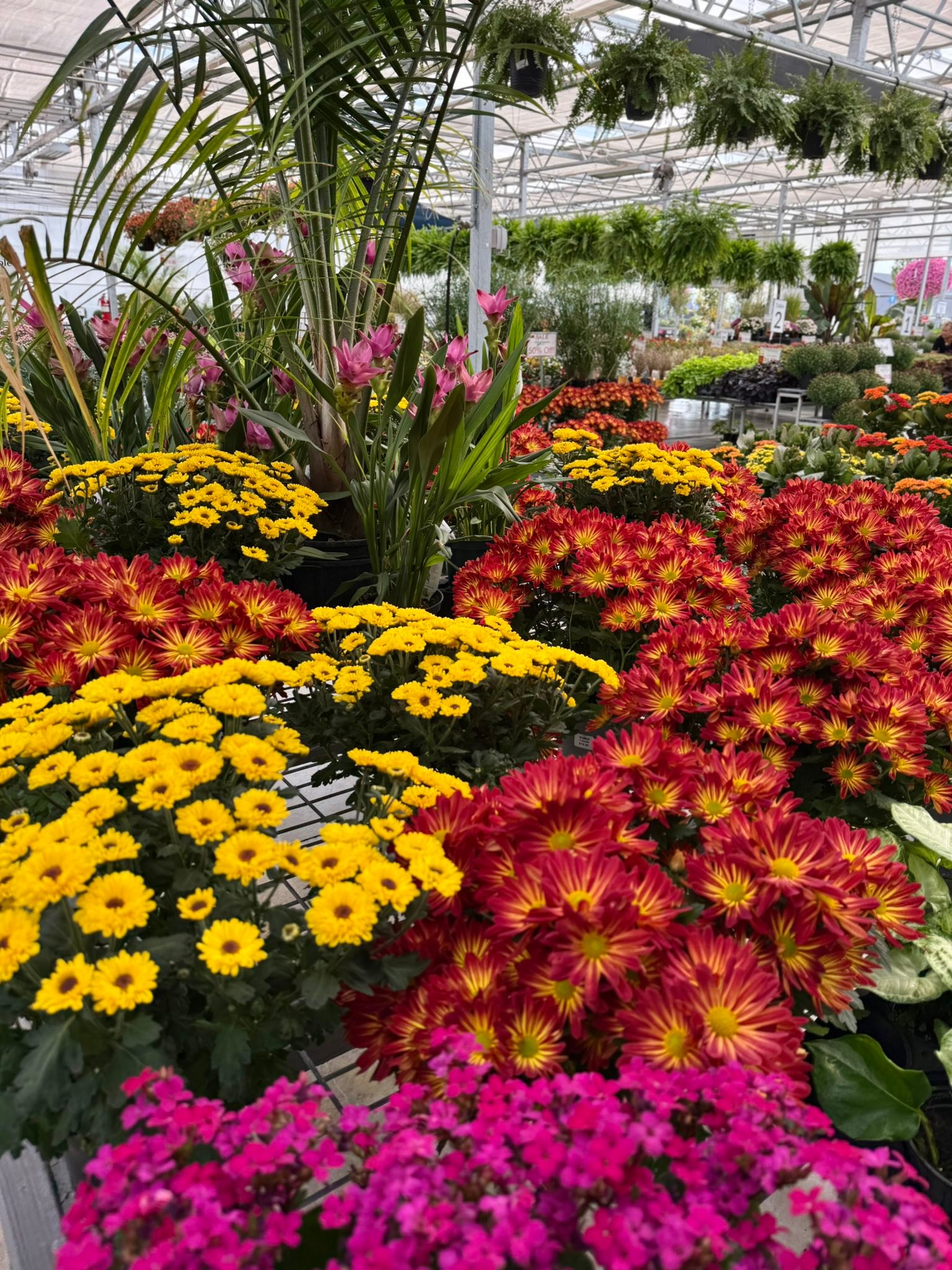Corso's Flower & Garden Center | Sandusky OH