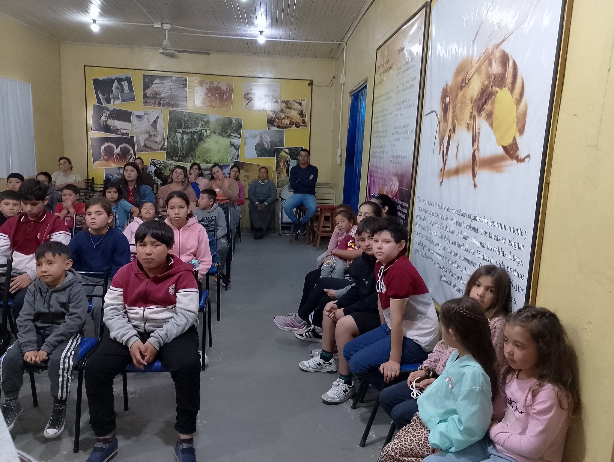 Apimania Abejas Y Miel - En Apimania no solo es abejas..🤭! Tenemos ...