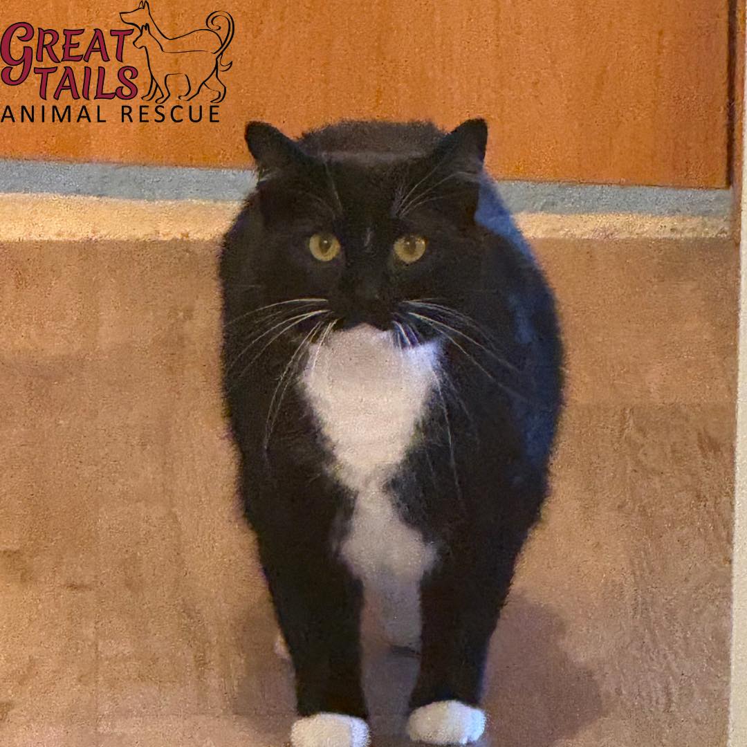 Great - Maybelline is sad that everyone has looked past her so far. She ...