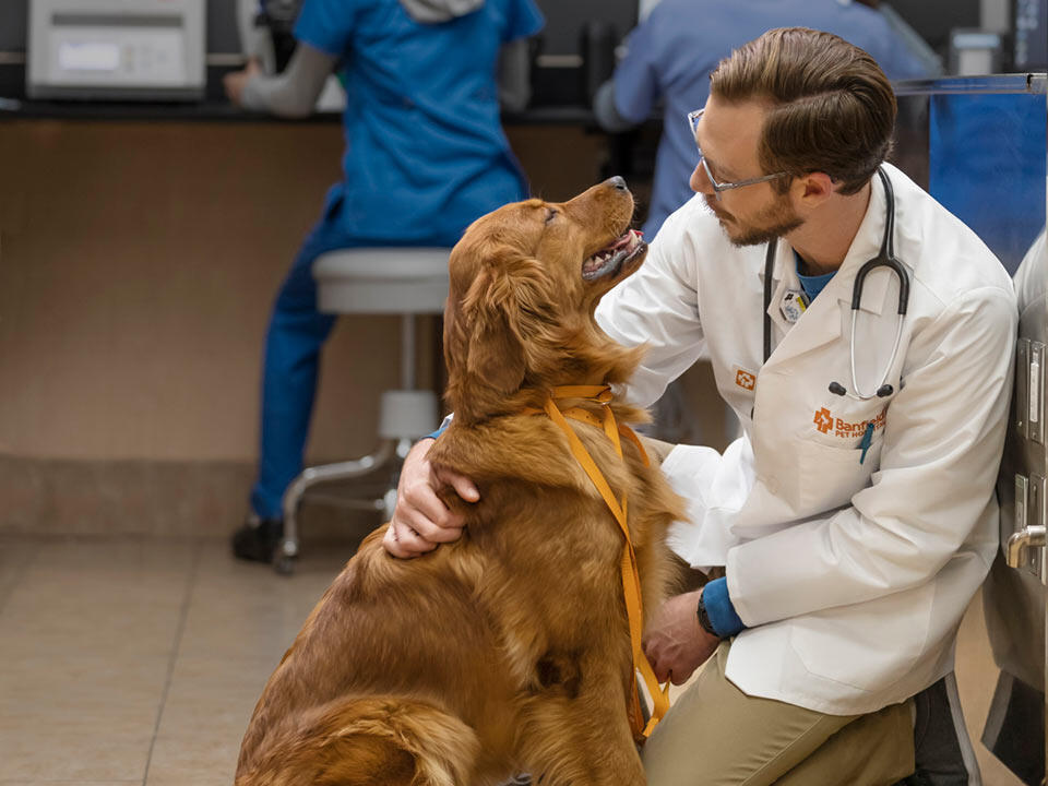 Banfield - Affordable Petcare with the Banfield Access Plan™ 🐶🐱 The ...
