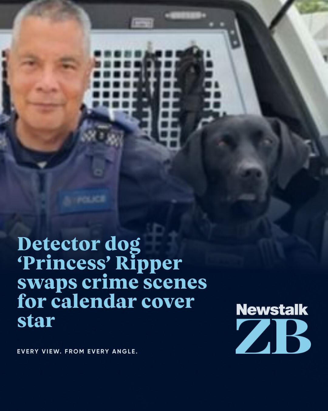 Newstalk - Champion detector dog Ripper stars in the 2026 Police Dog ...