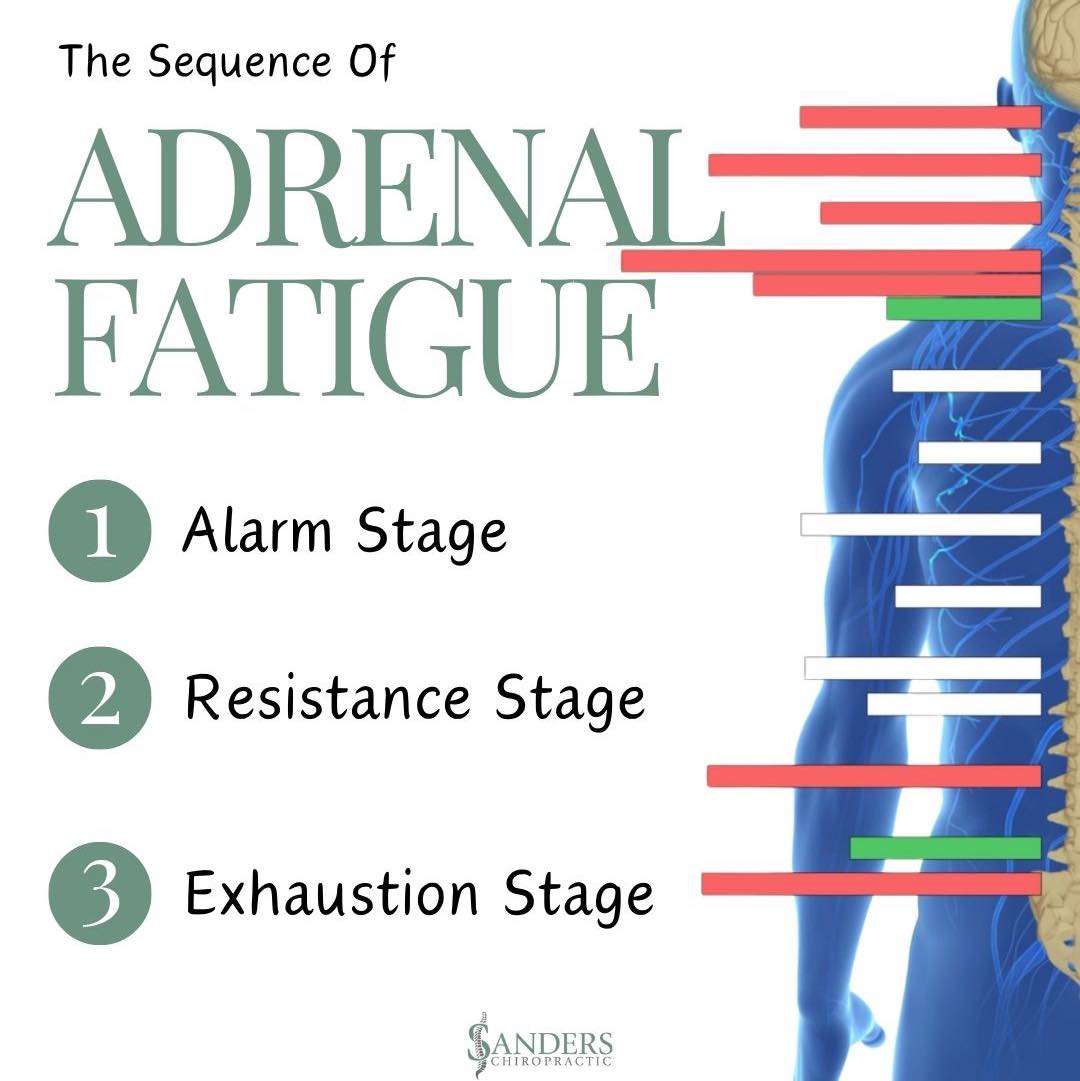 b12 injections adrenal fatigue symptoms and cortisol imbalance 12 Medical Benefits of hair growth serum Size:30 ml x 2