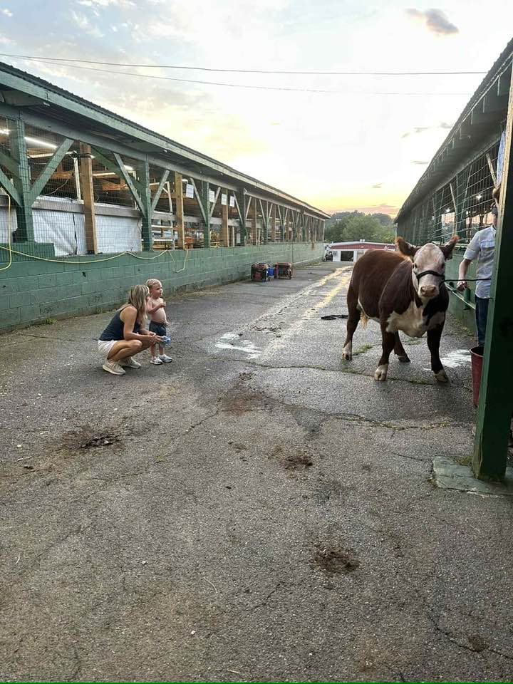 Day Ridge Farm - Day Ridge Farm added a new photo.