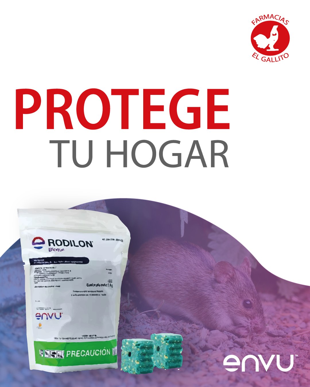 Farmacia - ¡RODILON PROTEGE TU HOGAR! 🐁🐀🚫 Es un rodenticida ...