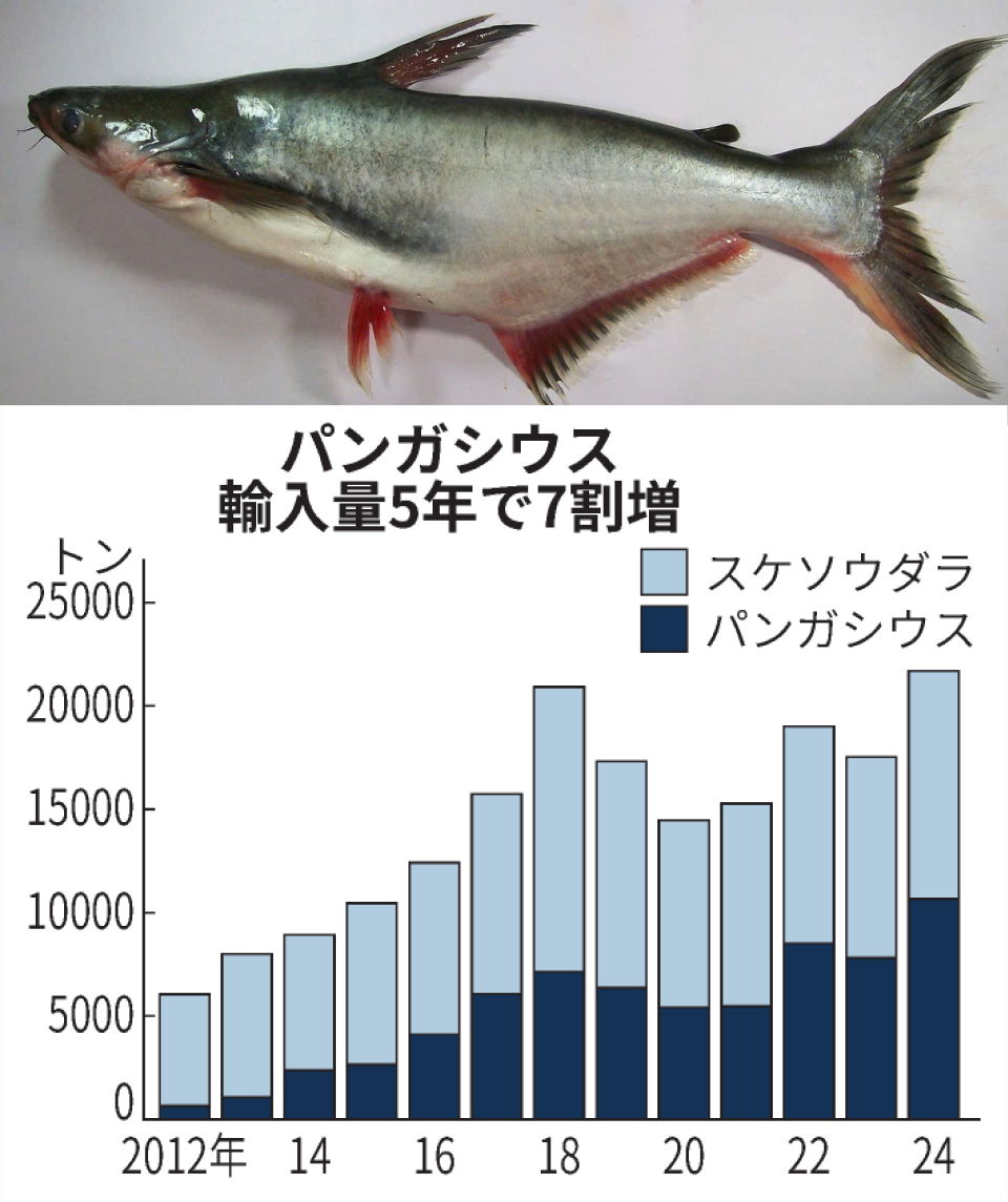 ナマズ静かに浸透中】 白身魚「パンガシウス」輸入量、スケソウダラ