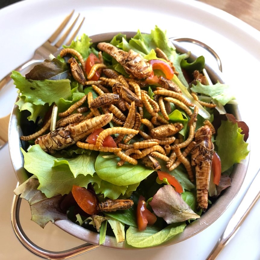 Snack-Insects