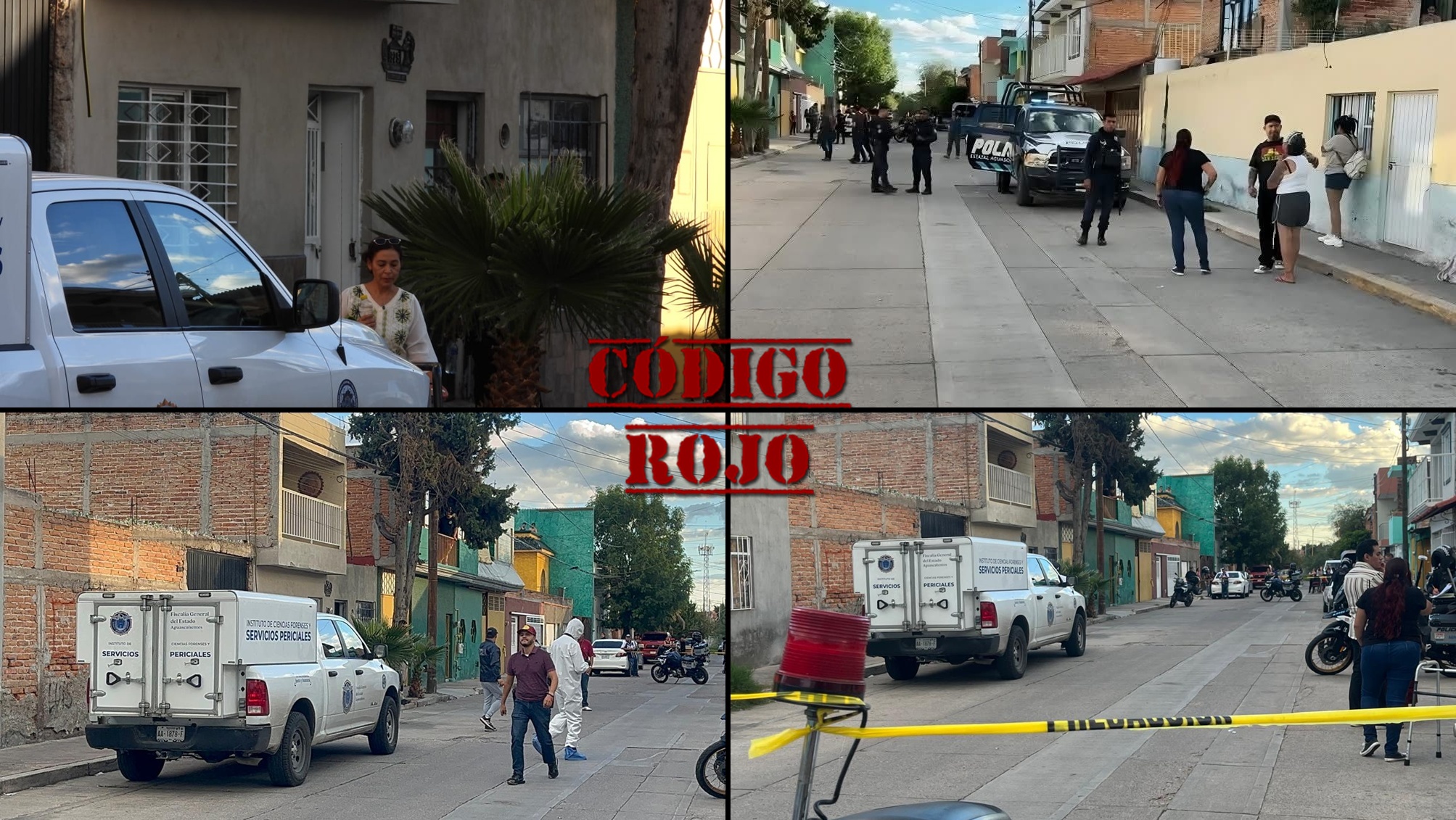 Código - 💥LOCALIZAN SIN VIDA AL ¨ROY¨, DELINCUENTAZO DE LA CONSTITUCIÓN ...