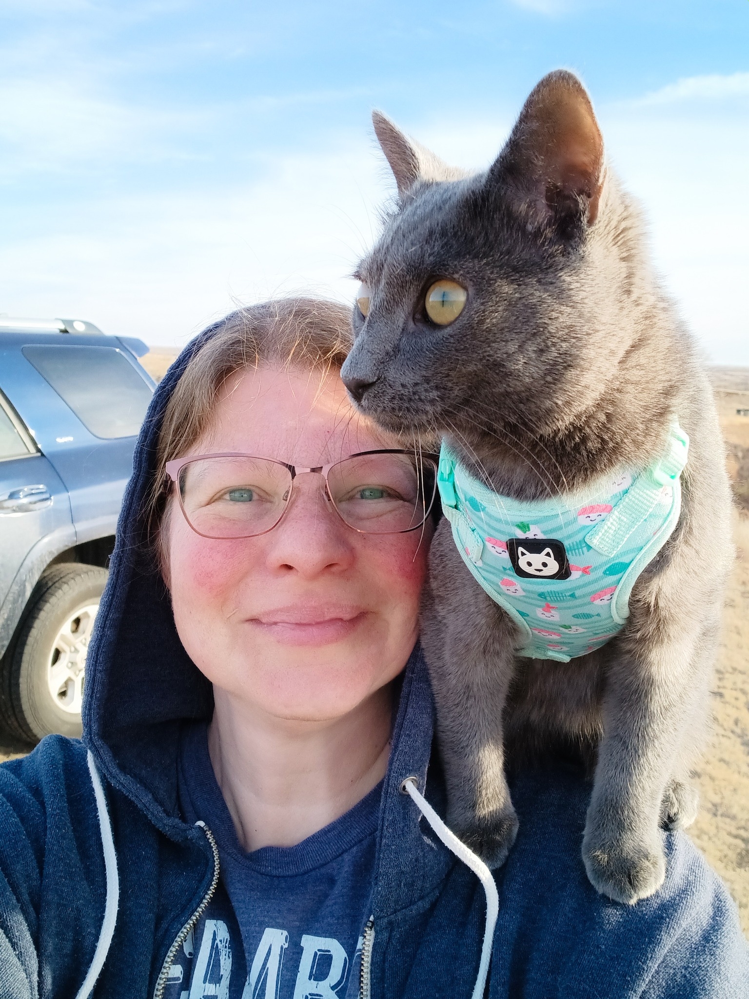 Bethany O'Leary @BethanyForTruth I'm convinced cars are so insultingly ...