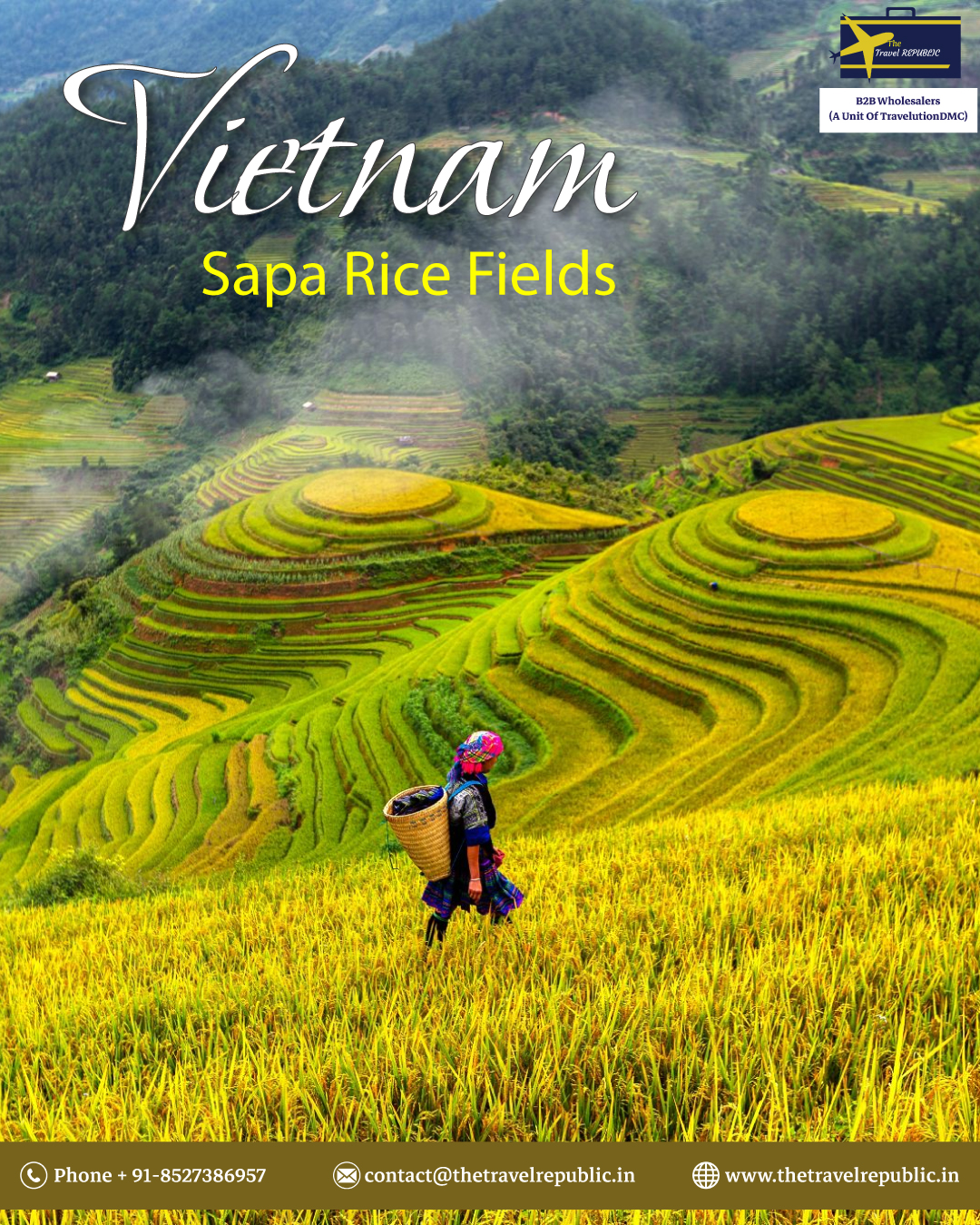 The Travel - Vietnam - Golden waves of peace 🌾 Sapa’s rice fields ...