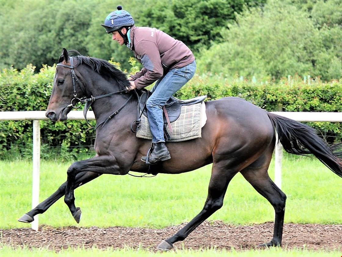 Who was on the massive 100/1 winner... - Race Horse Trader | Facebook