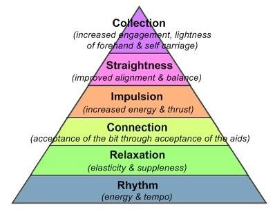 Rudy - Let’s talk about the sometimes confusing pyramid!! 30 years ago ...