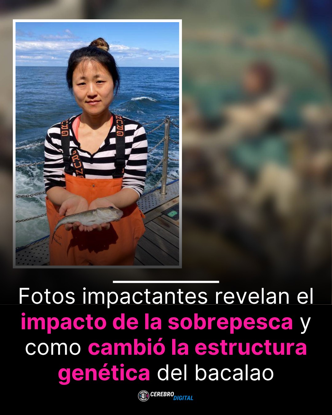 Cerebro Digital - Los hemos pescado tanto que hemos... | Facebook