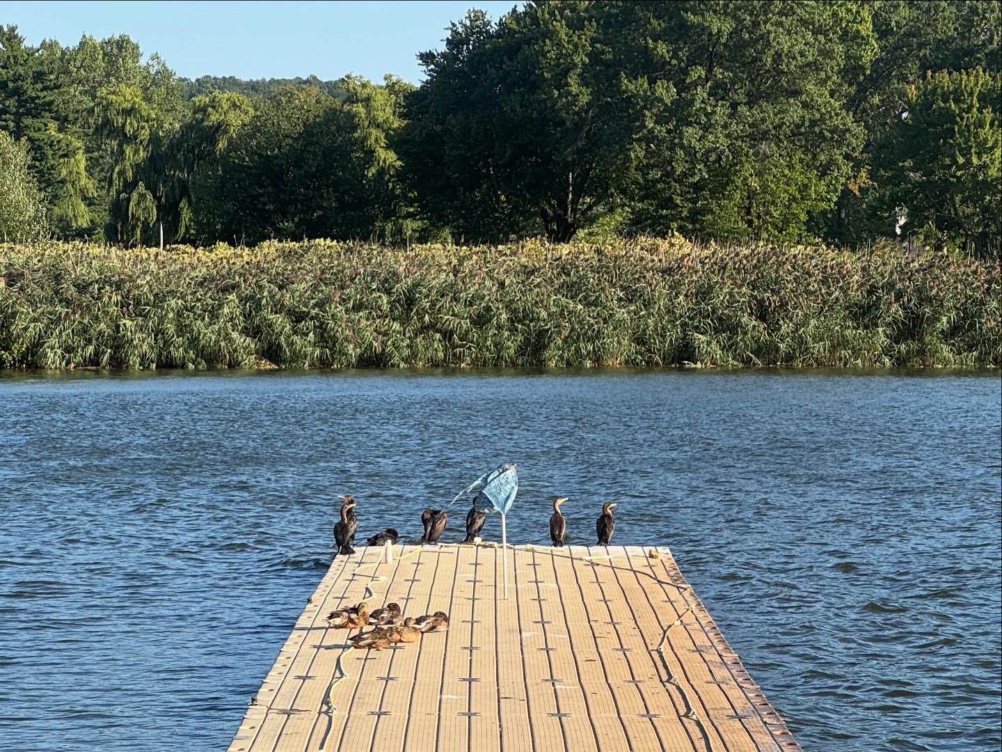 Bergen County Rowing... - Bergen County Rowing Academy