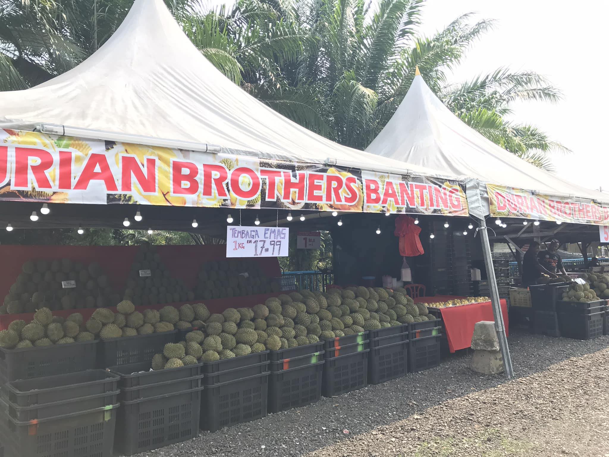 durian-brothers-banting