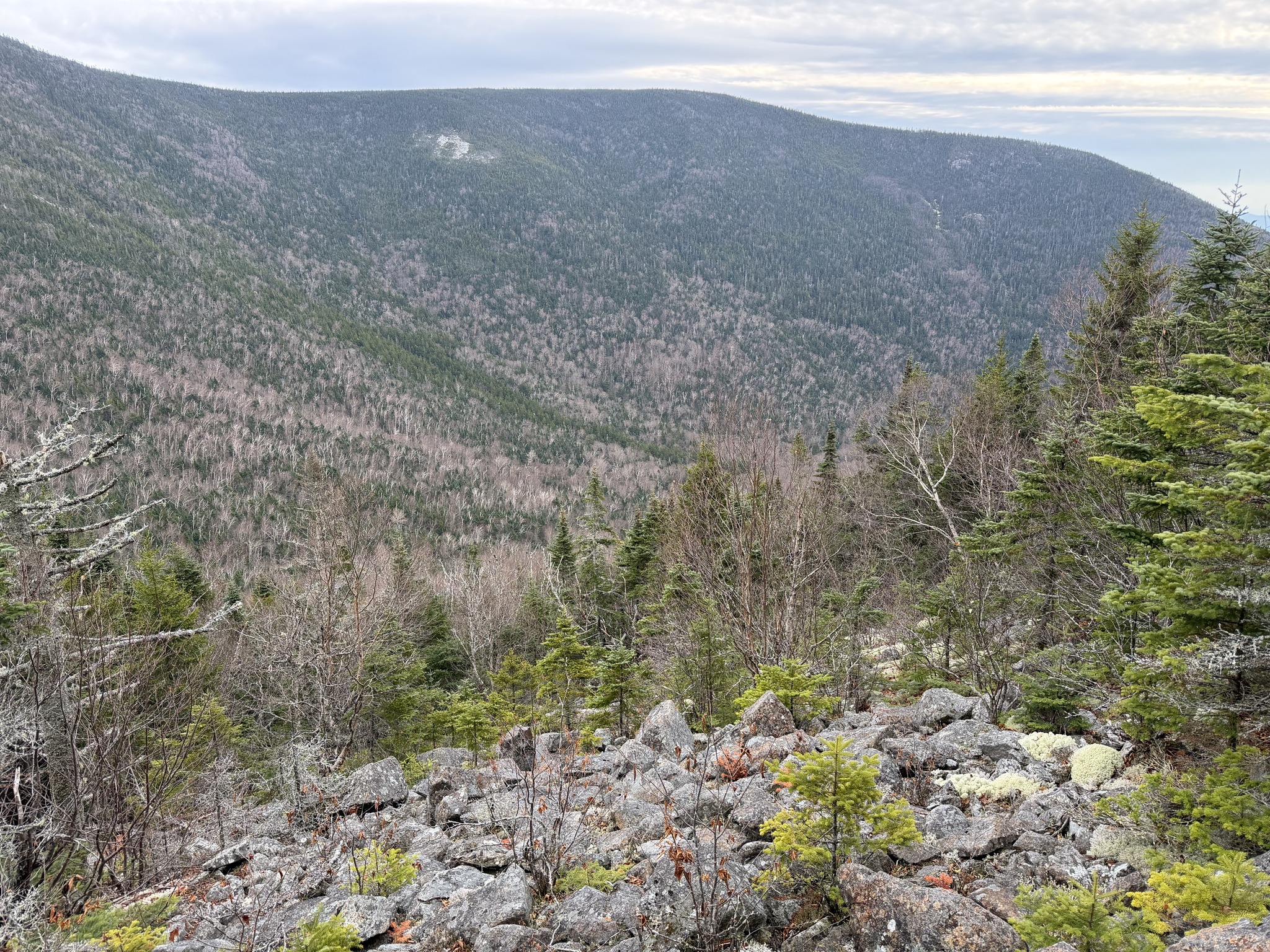 Mountain - Looking across the valley to Hardwood Ridge, which has its ...