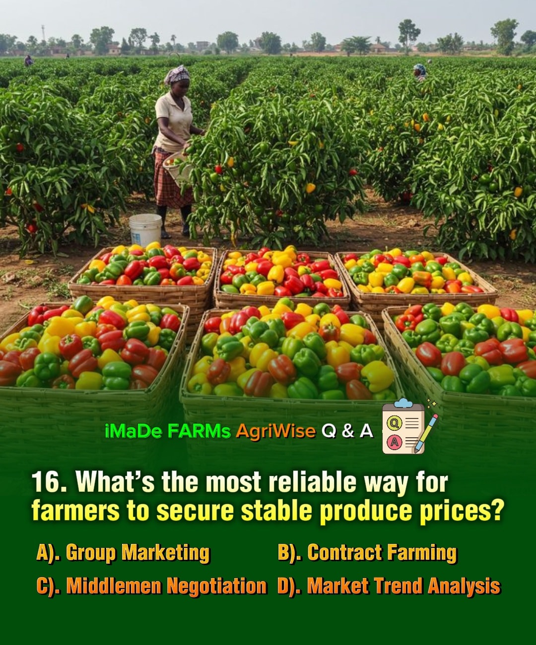 iMaDe - 16. What’s the most reliable way for farmers to secure stable ...