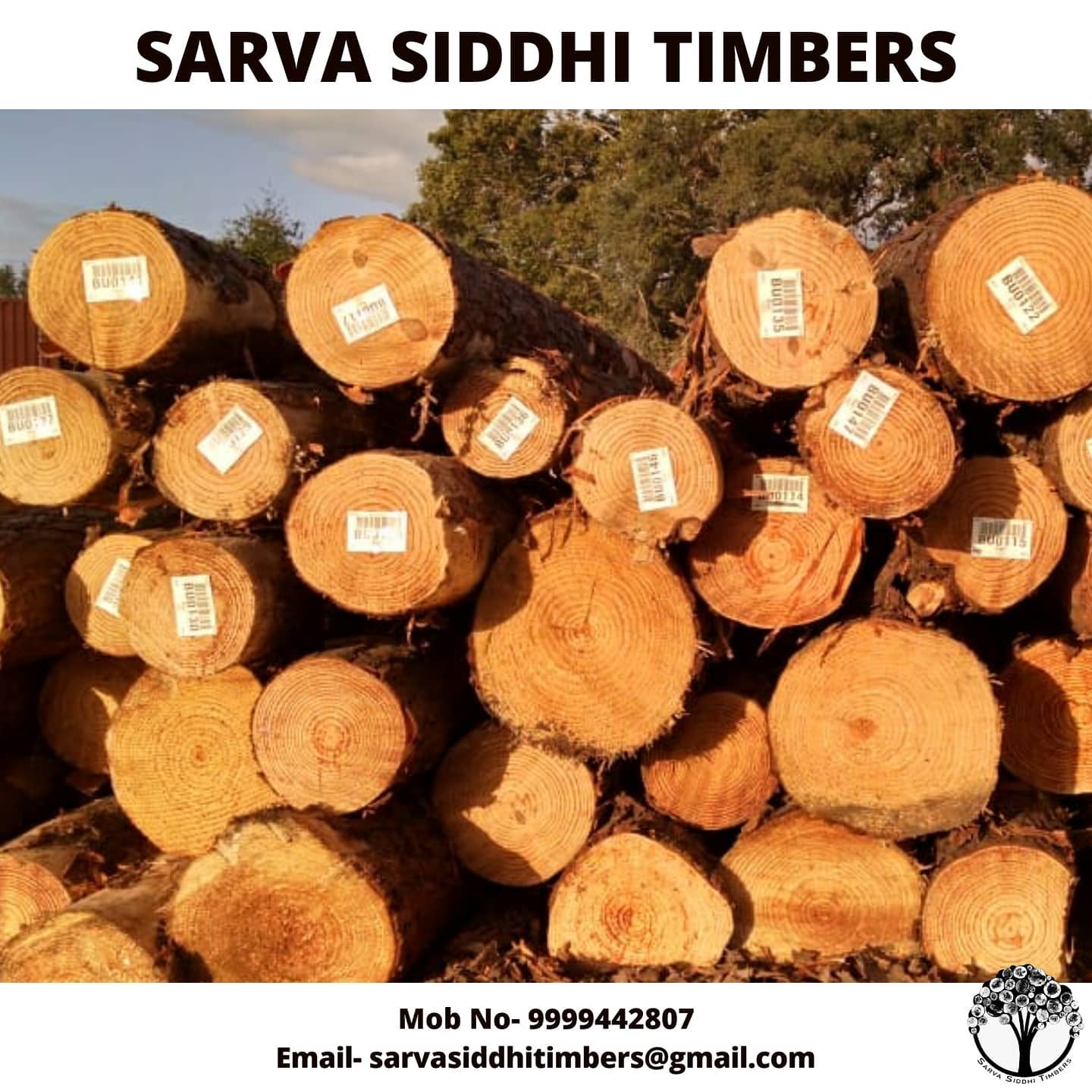Sarva Siddhi Timbers - Southern Yellow Pine, also known as SYP is ...
