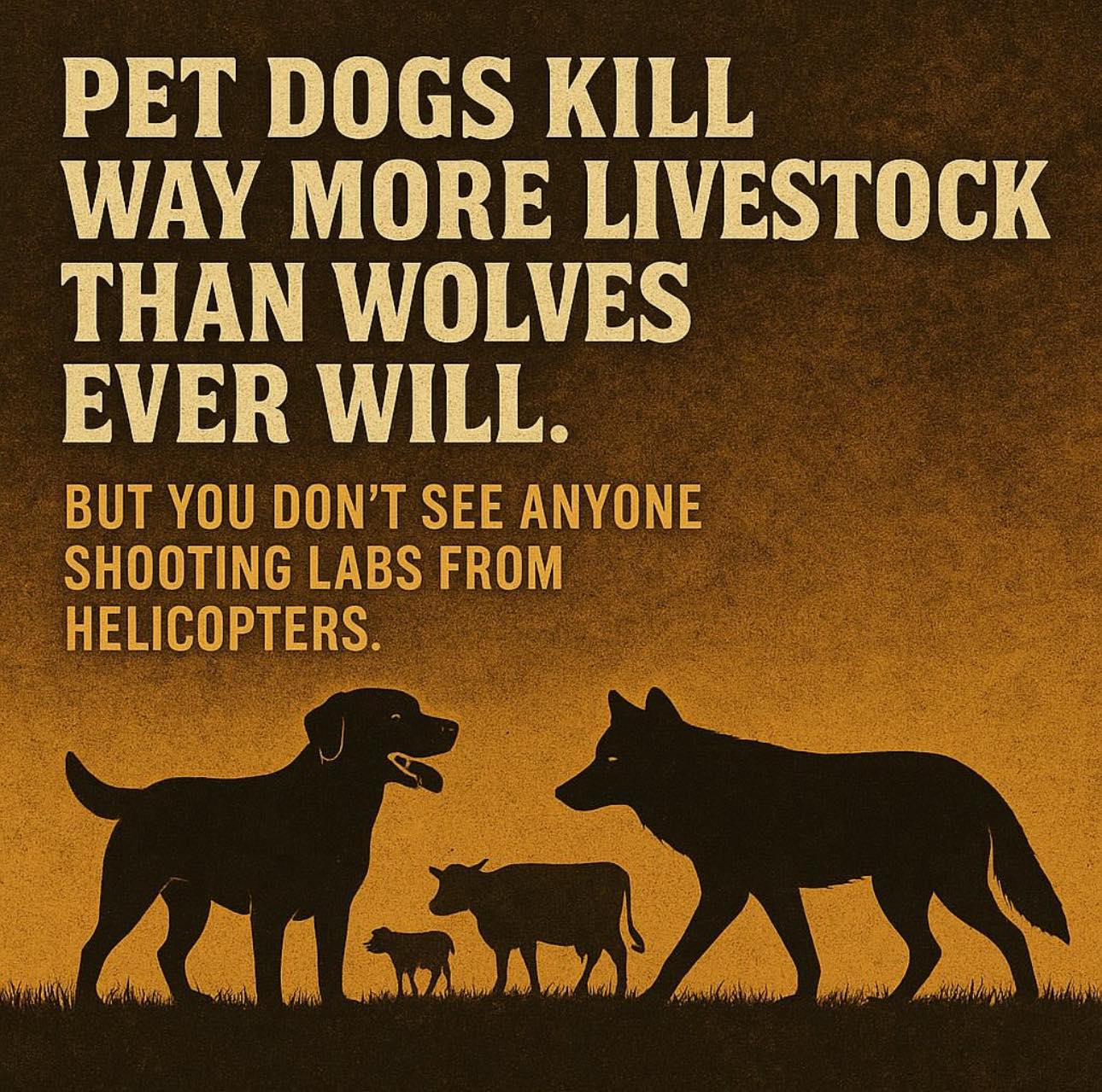 Anneka - This is true! Farmers in the USA are just lazy. They ‘could ...