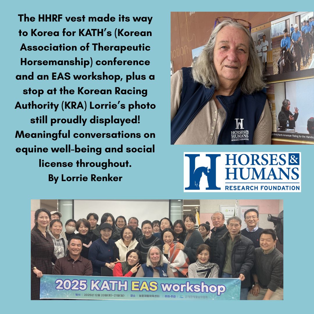 Horses - When you see an HHRF vest, you’re seeing more than a logo—you ...