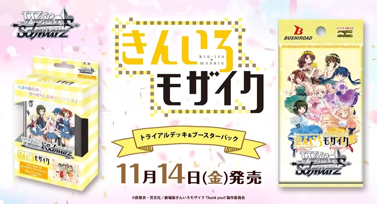 15th Anniversary 陽子SSP1枚