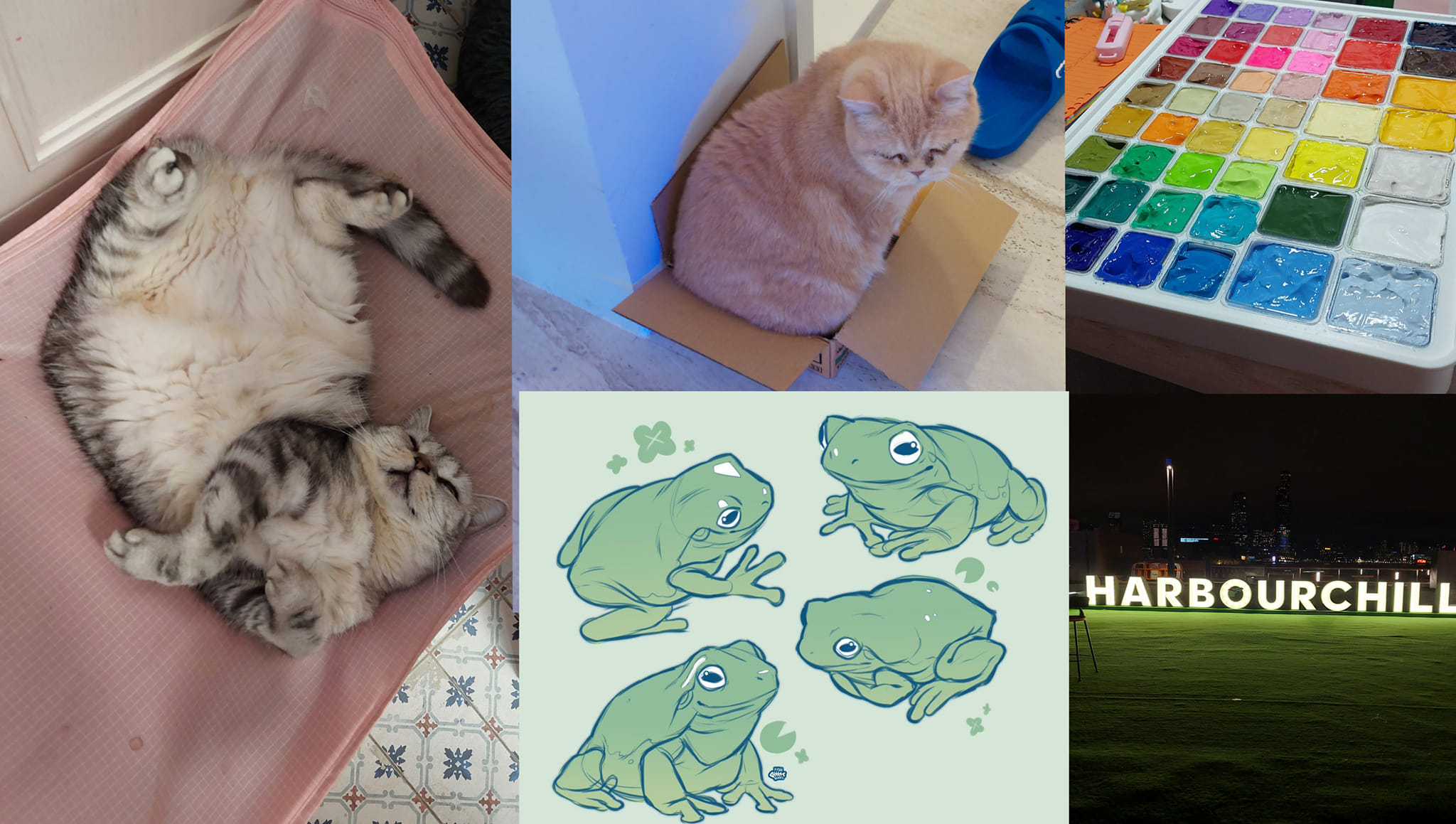 K I K O - ๑ↀᆺↀ๑