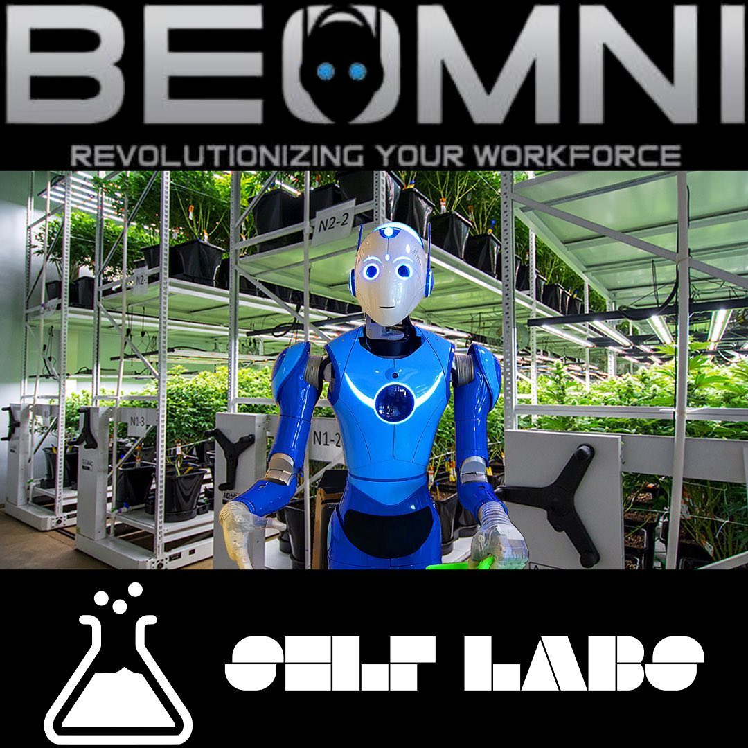 SELF Labs Inc.