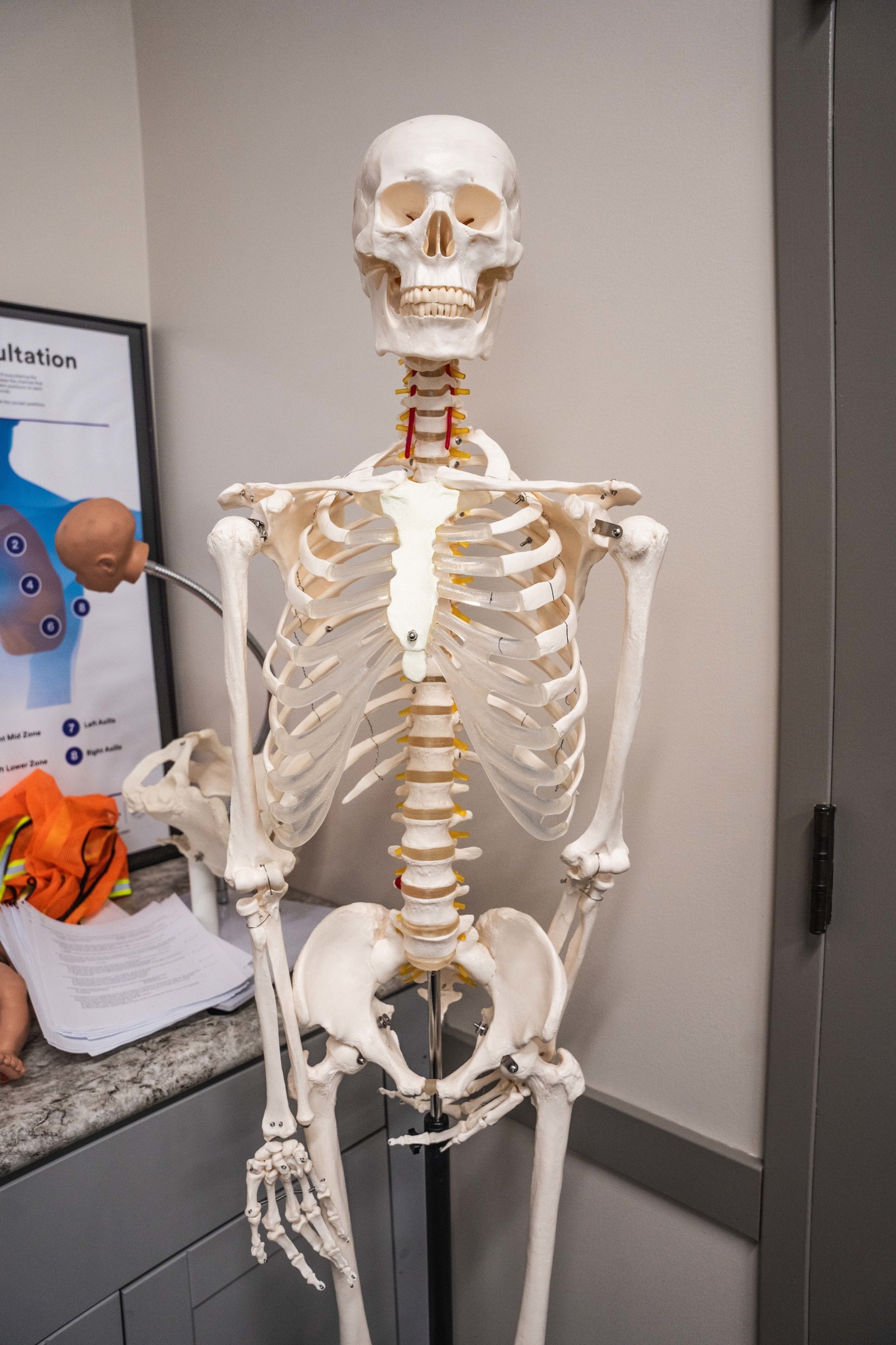 Elite - Meet our most patient teacher 😅💀 While this skeleton may just ...