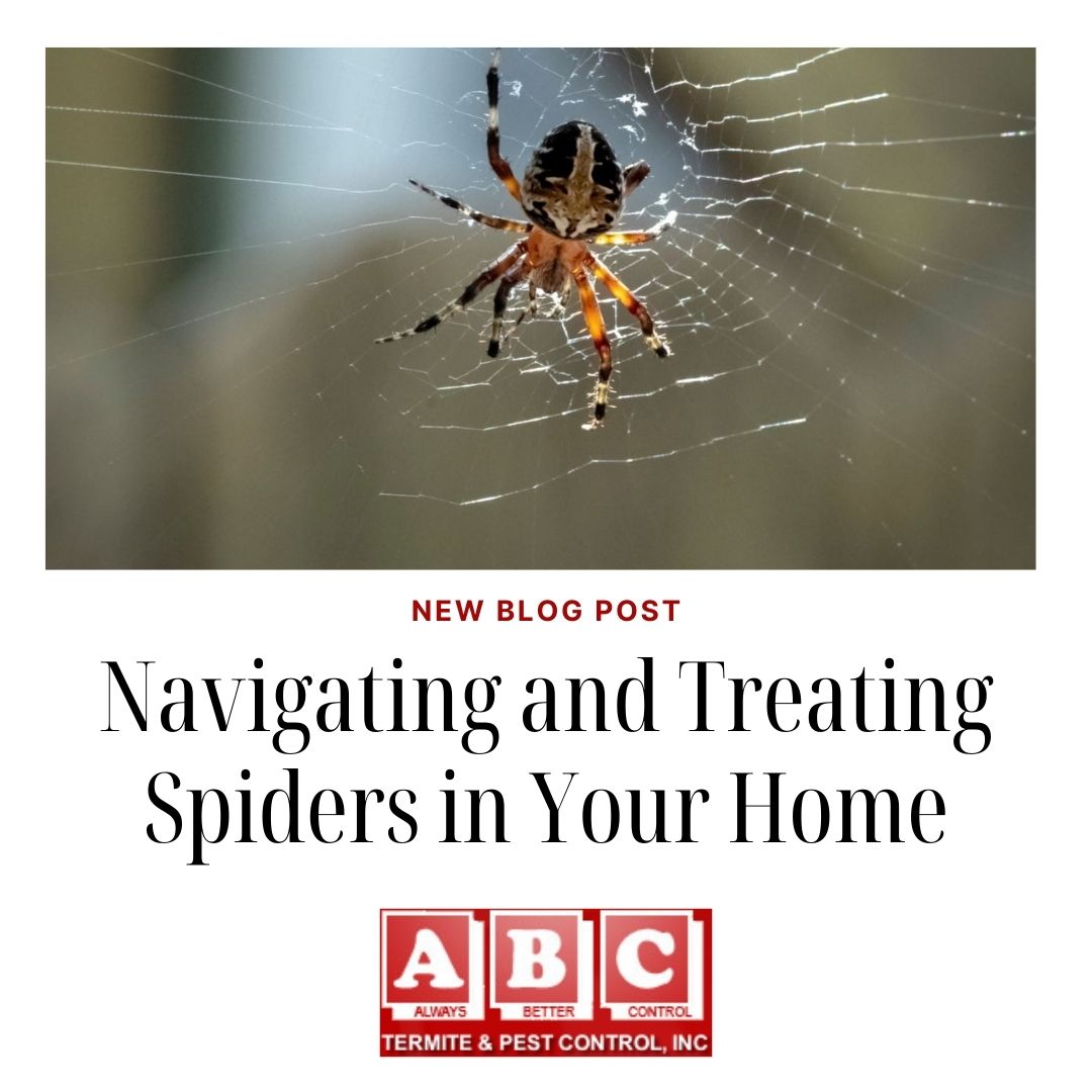 ABC - 🕷️🏠 Spotted a creepy crawler in your home? You're not alone ...