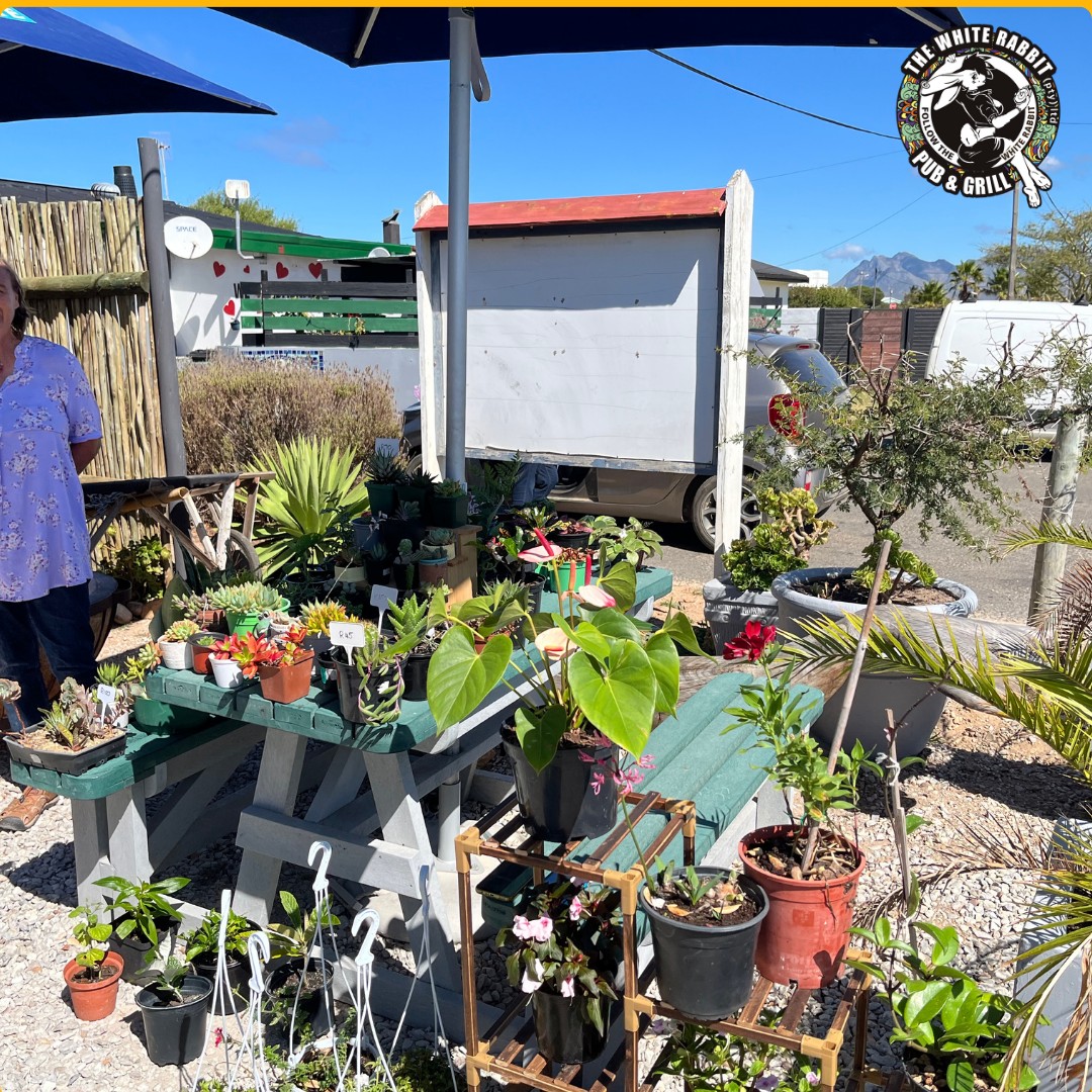 The White Rabbit Pub Hermanus