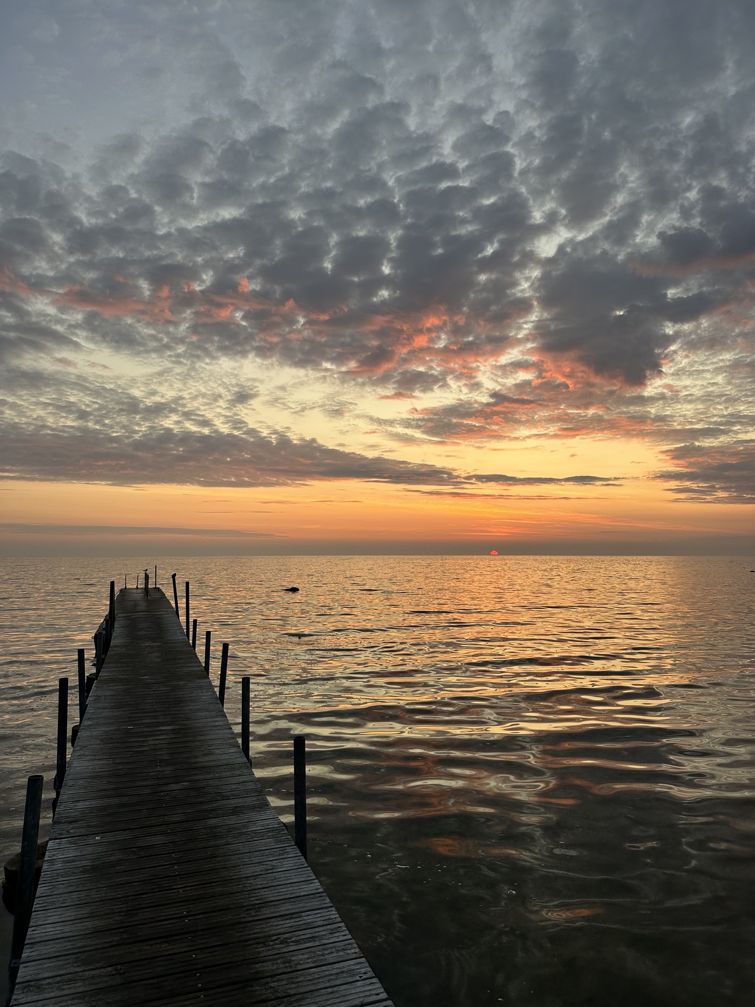 Hiiumaa - Hausma ujumissild võetakse veest välja 🌊 Homme, 8. oktoobril ...