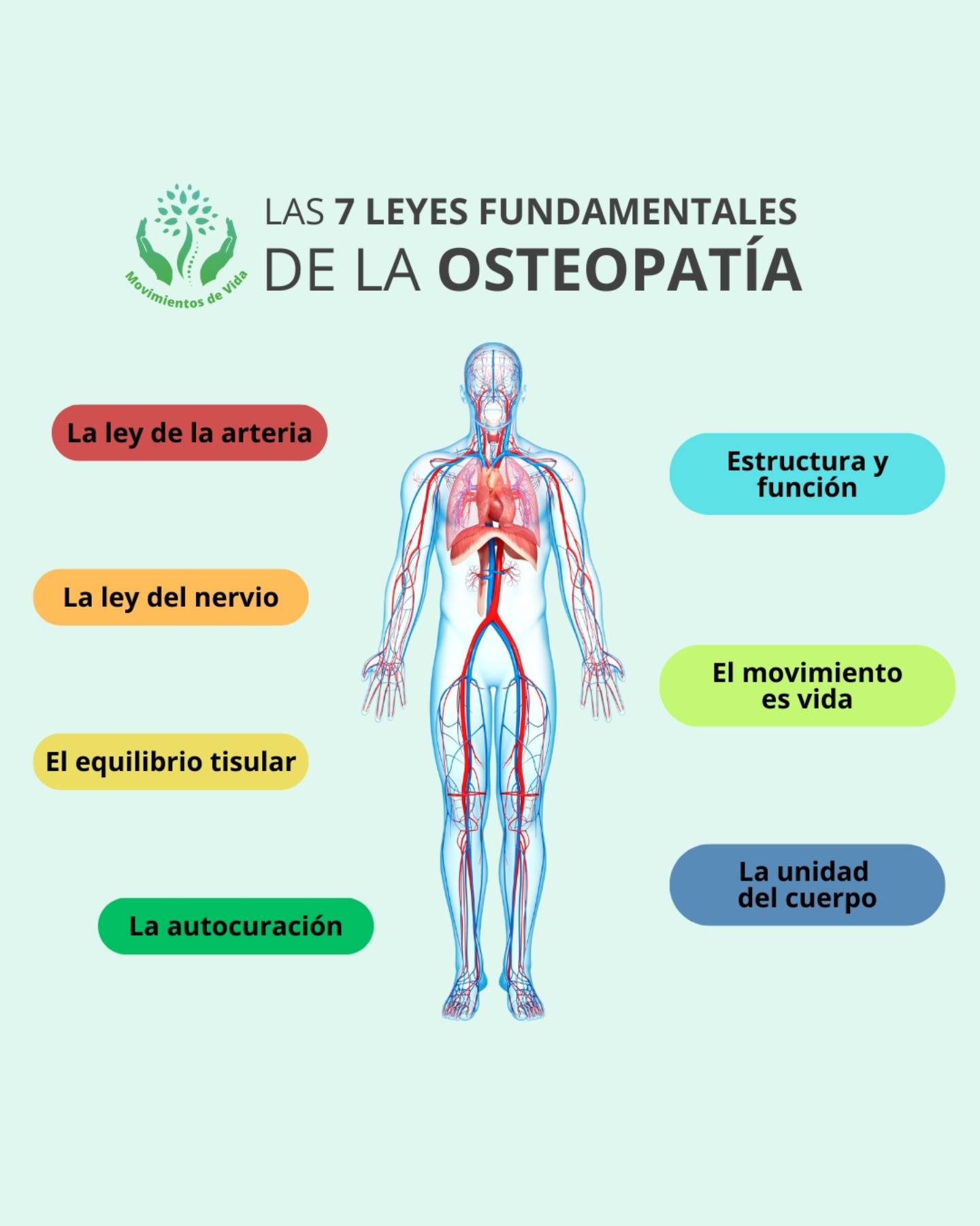 Movimientos - Las 7 leyes fundamentales de la osteopatía La osteopatía ...