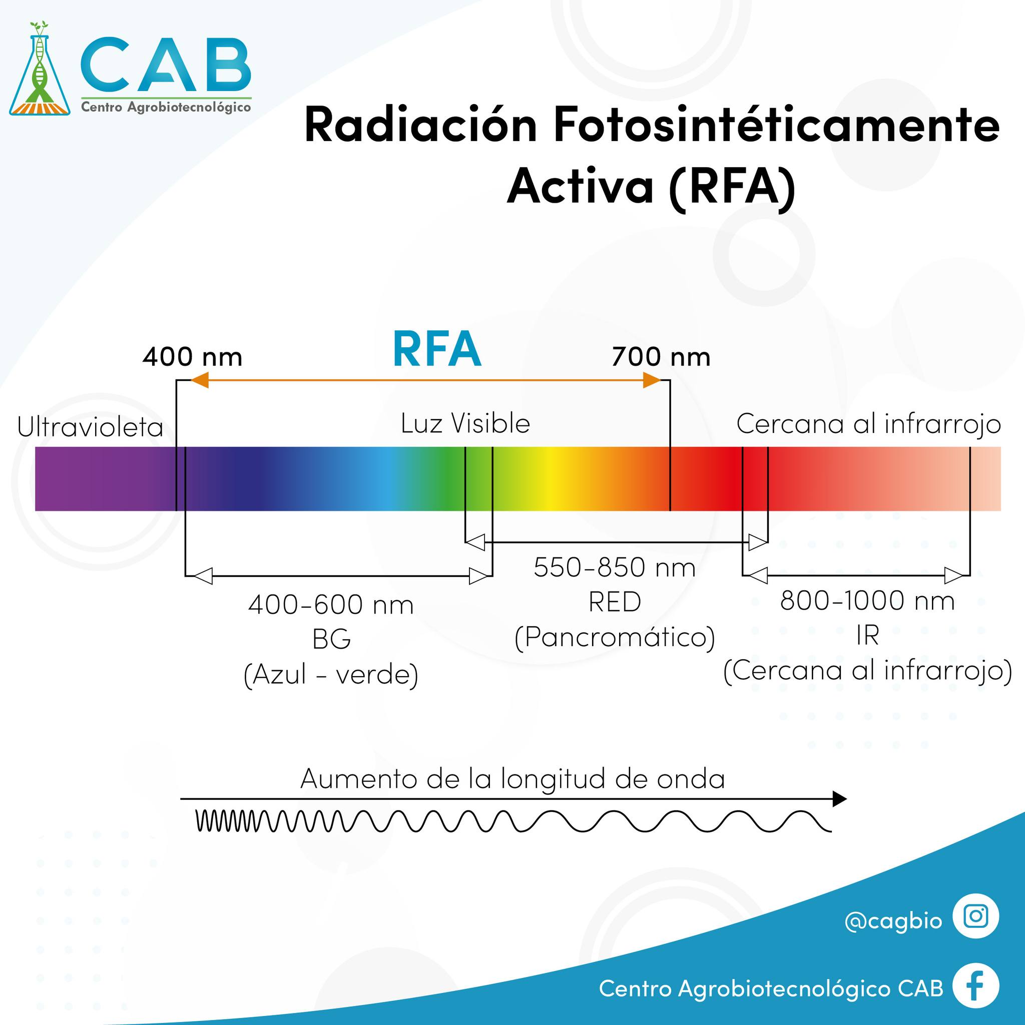 La calidad de la luz en... - Centro Agrobiotecnológico CAB