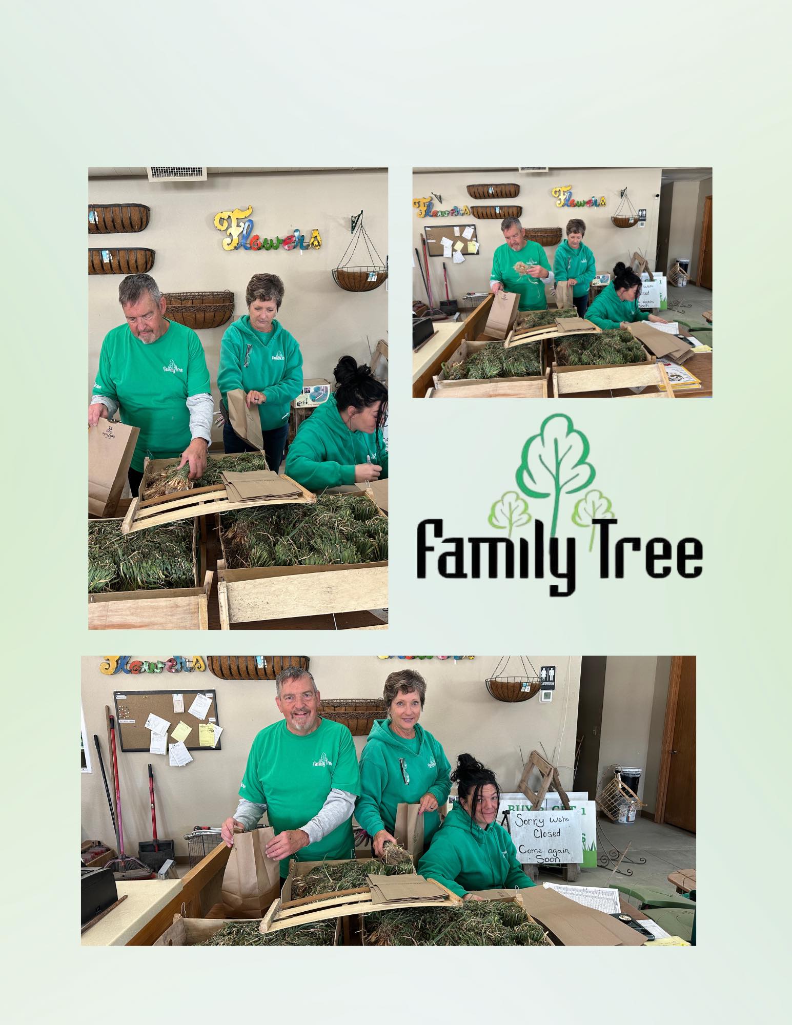 Family - Seeds galore! They're here! Our Family Tree team is ...