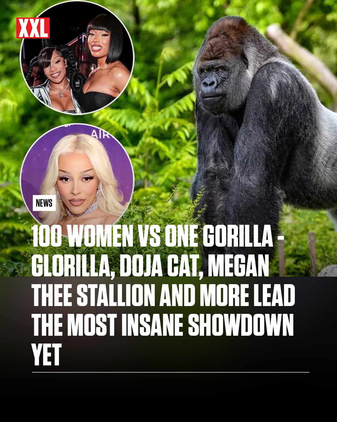 XXL - The viral debate over who would win a fight between 100 men and a ...