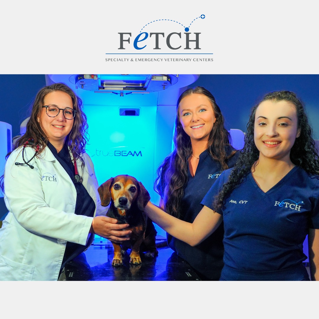 Fetch - 🌟 We’re proud to help serve our friends in Southwest Florida ...
