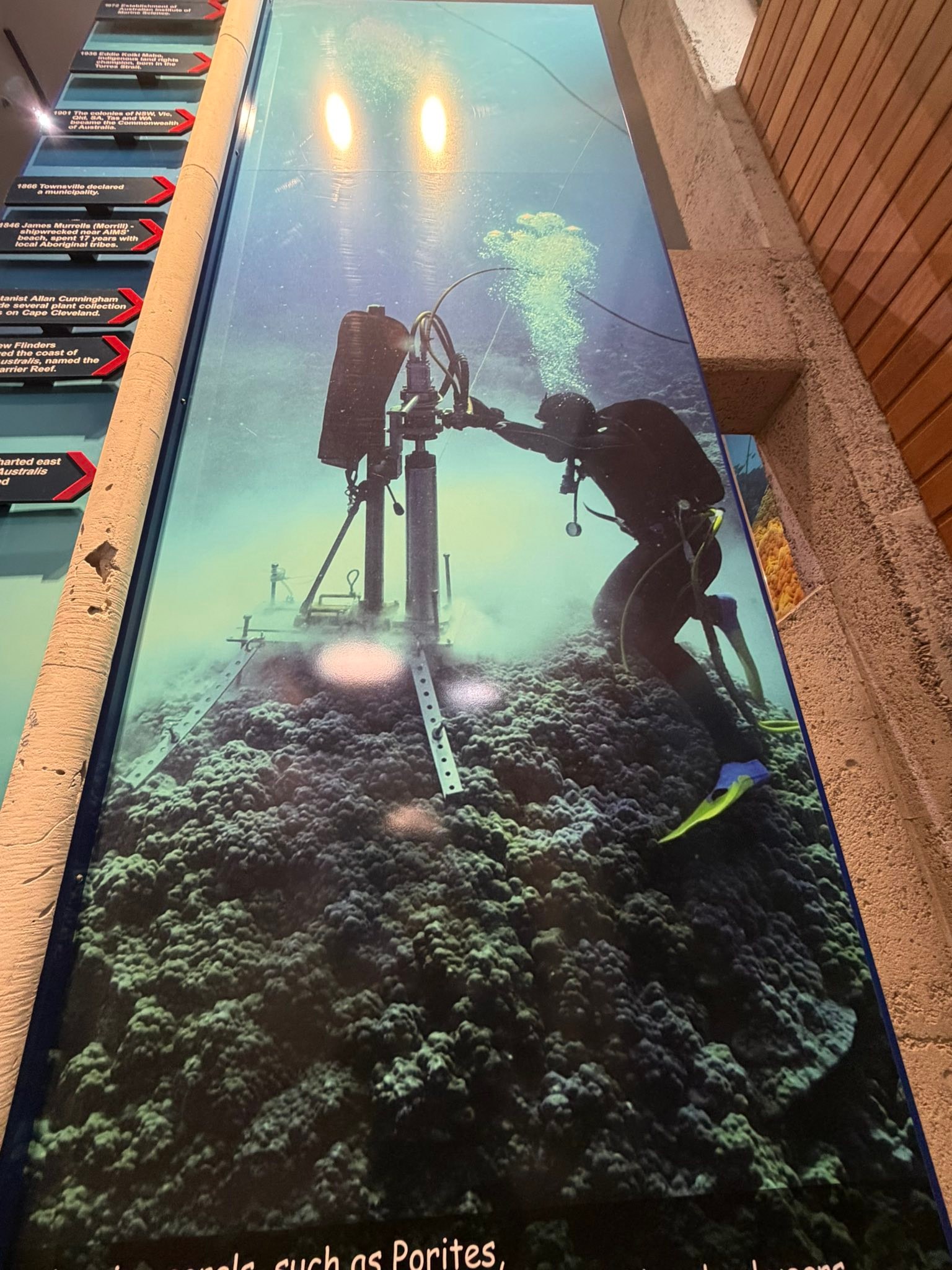 Aus - Coral spawning season is here again We’re up at AIMS (Australian ...