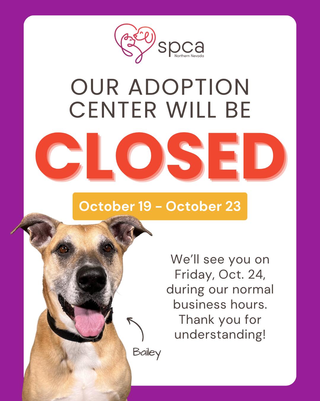 SPCA of Northern Nevada | Reno NV