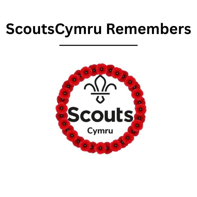 scoutscymru-tomorrow-15-young-people-from-scoutscymru-facebook