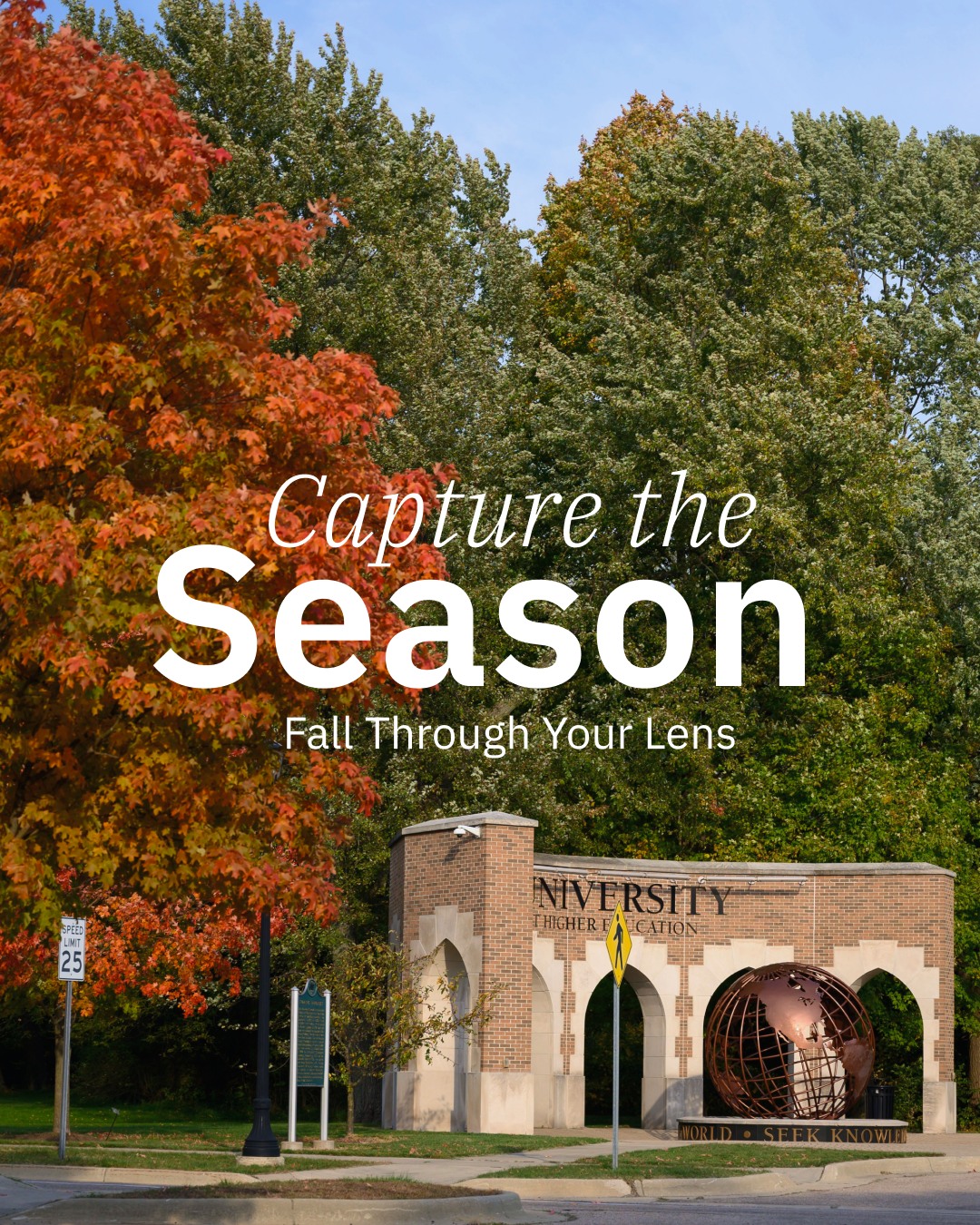 Andrews - Fall is almost gone… 🍂 Before we start missing it, let’s ...