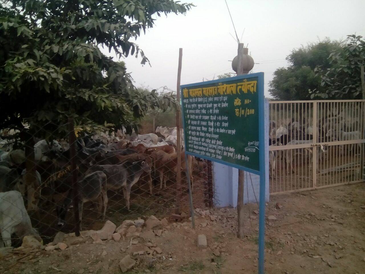 श्री महामल महाराज... - Shri Mahamal Maharaj Gaushala Toynda