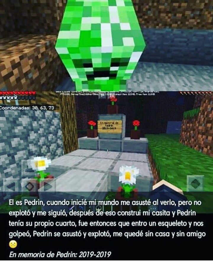 Minecraft Bedrock Latinoamérica | F por pedrin #minecraft # ...