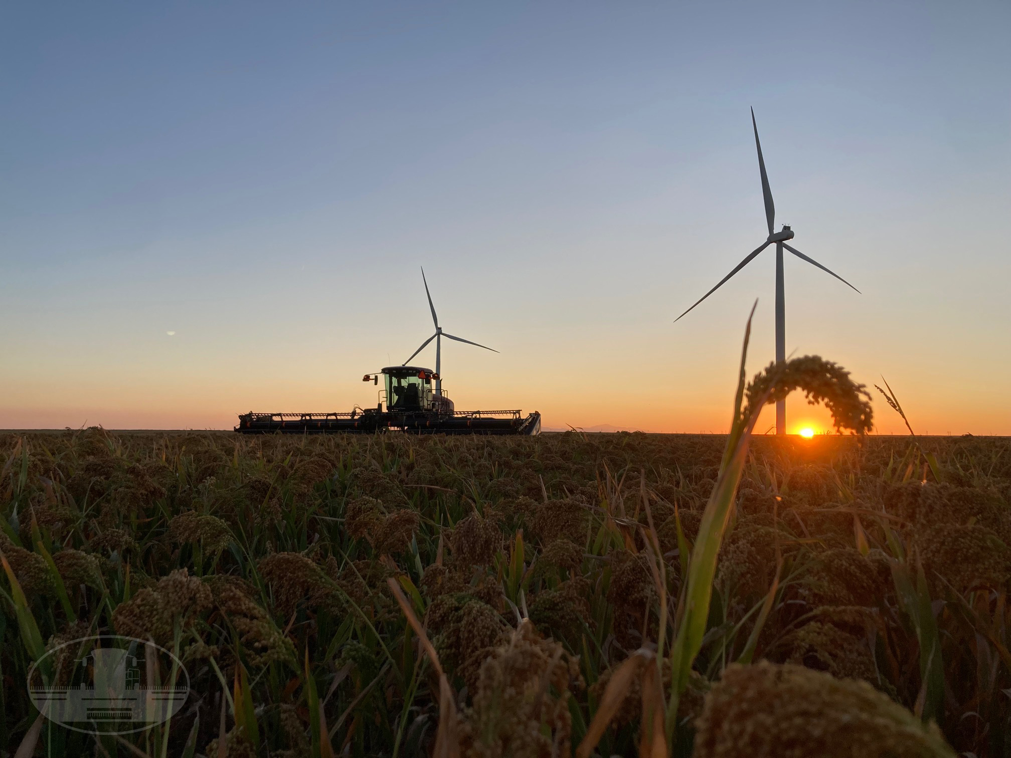 Heil - Sunset on the 2025 proso millet swathing season -- and possibly ...