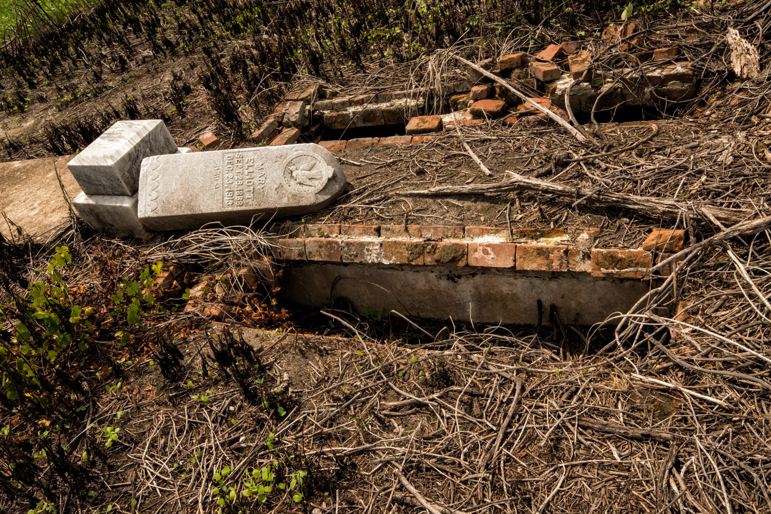 There - Exhumed? | Facebook