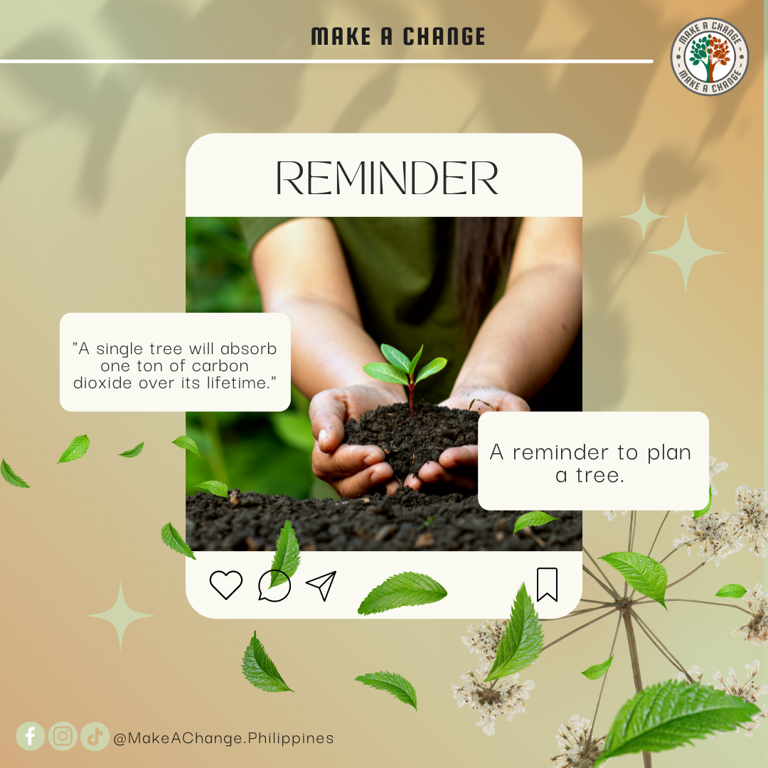 A REMINDER TO PLANT A TREE 