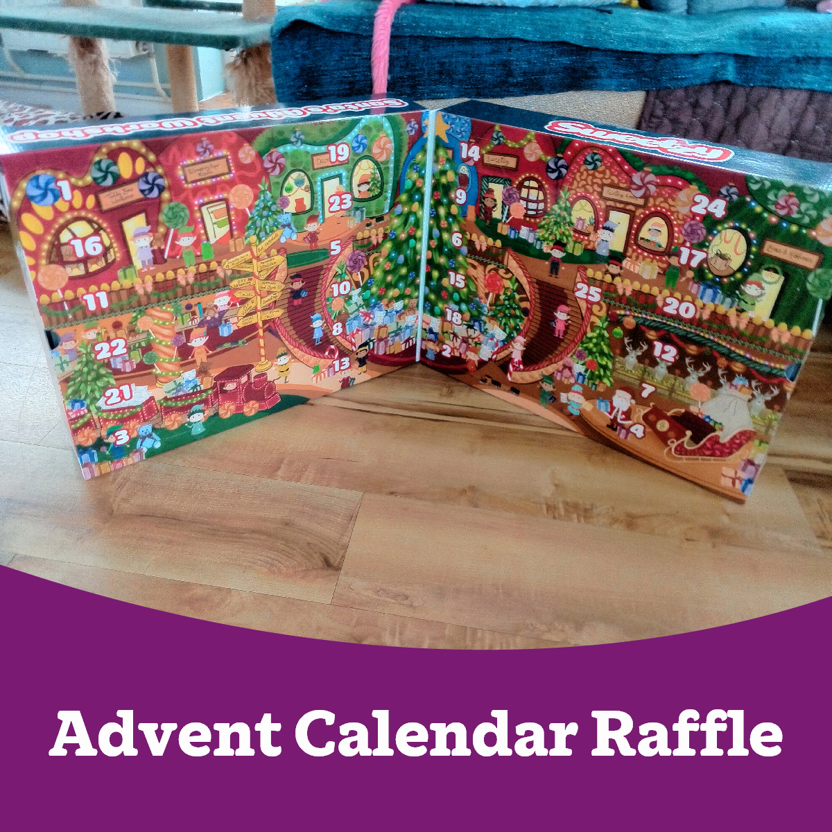 Salisbury - 🎅🍬 Get ready for the sweetest countdown to Christmas! 🍬🎅 We ...